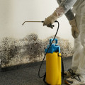 Finding a Reputable Water Damage Restoration Company