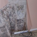 How do you get rid of mold behind walls?