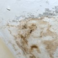The Dangers of Water Damage in Your Home