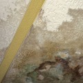 Can water damage resolve itself?