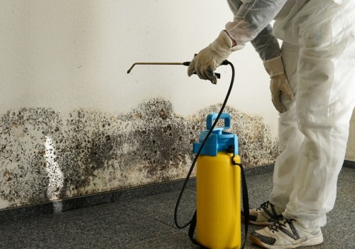 Finding a Reputable Water Damage Restoration Company