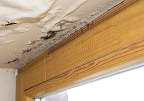 What Certifications are Needed for Water Damage Restoration?