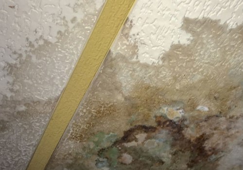 How do you get rid of mold after water damage?